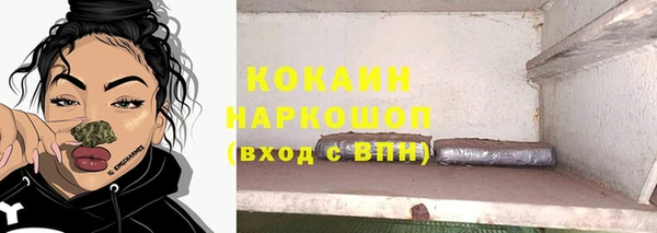 прущие грибы Володарск