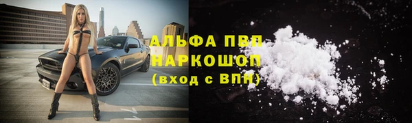 соль ск Волосово