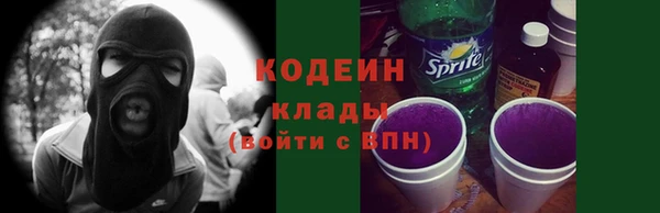 соль ск Волосово