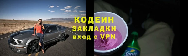 прущие грибы Володарск