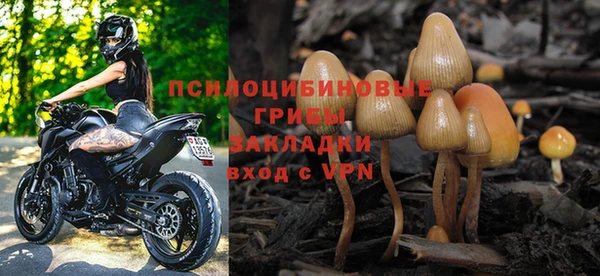 соль ск Волосово