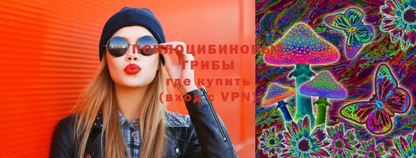 прущие грибы Володарск