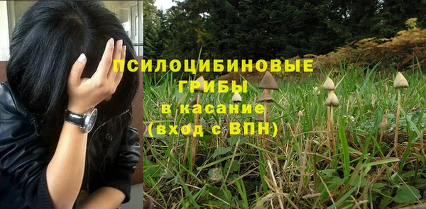 прущие грибы Володарск