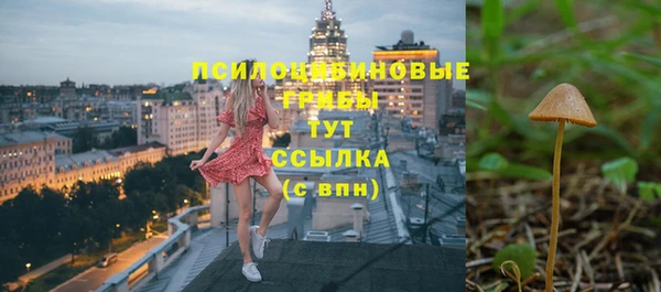 соль ск Волосово