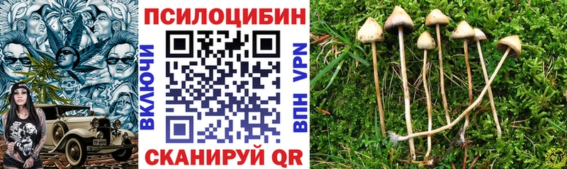 mega ССЫЛКА  Олонец  Псилоцибиновые грибы Cubensis  купить наркоту 